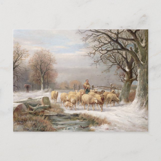 Postal Pastora con su rebaño en un paisaje invernal ( (Anverso)