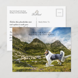 Postal Pastoreo Blue Merle Rough Collie - Colectible