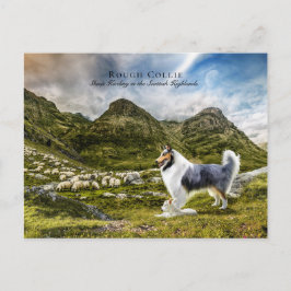 Postal Pastoreo Blue Merle Rough Collie - Colectible