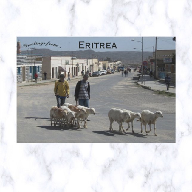Postal Pastores y su rebaño en Dekemhare Eritrea (Subido por el creador)