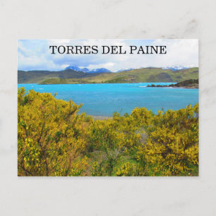 Postal patagonia amarilla