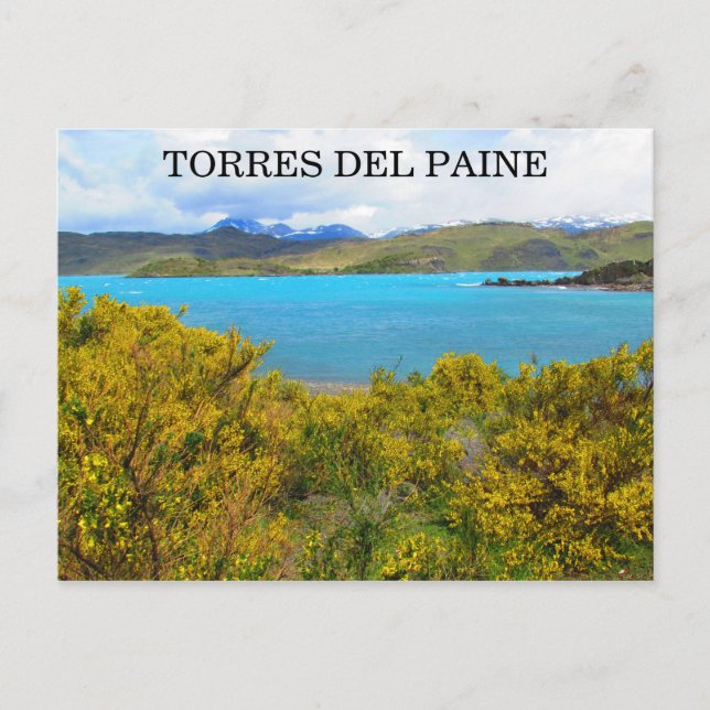 Postal patagonia amarilla (Anverso)