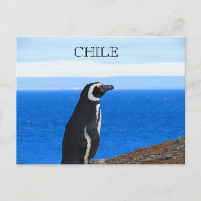 Postal Patagonia Chile (Anverso)