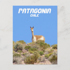 Postal Patagonia Vicuna, Chile Postcard - Vertical