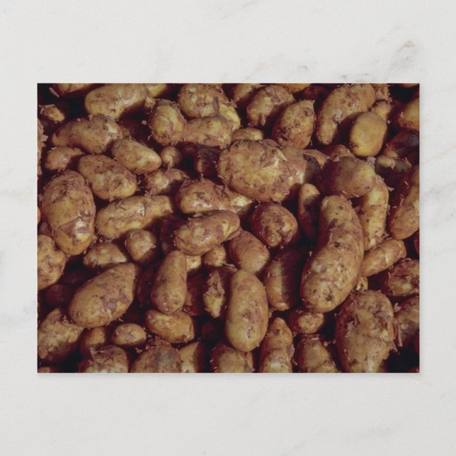 Postal Patatas (Anverso)