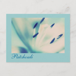 Postal Patchouli Lily Postcard Arte Digital Floral
