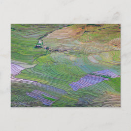 Postal Patentes de arroz de Sapa