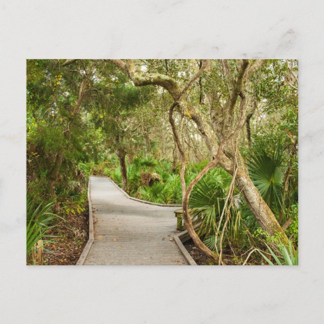 Postal Path, Refugio Nacional de Vida Silvestre de la Isl (Anverso)