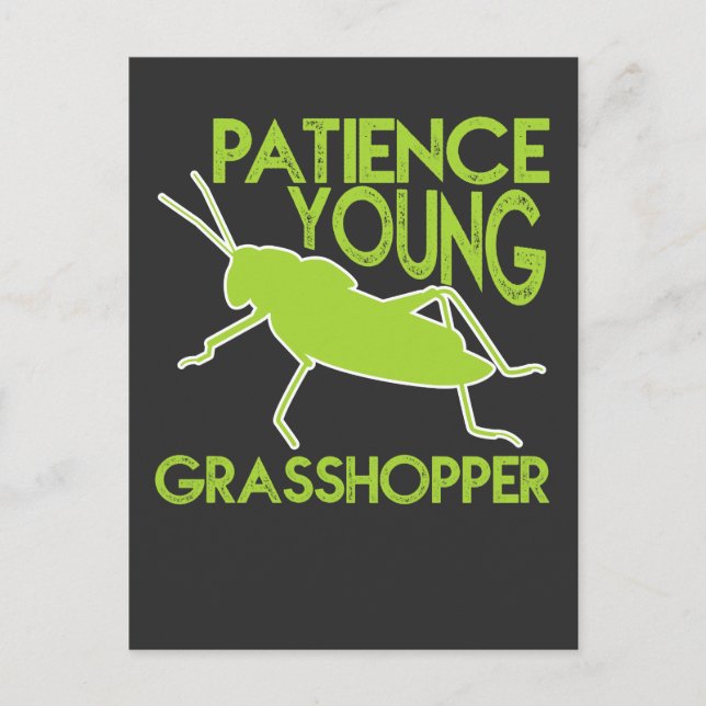 Postal Patience Young Grasshopper Funny Novedad (Anverso)