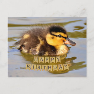 Postal Patito Adorable en el Estanque Feliz Cumpleaños 
