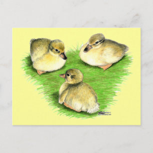 Postal Patitos de Mallard nevados