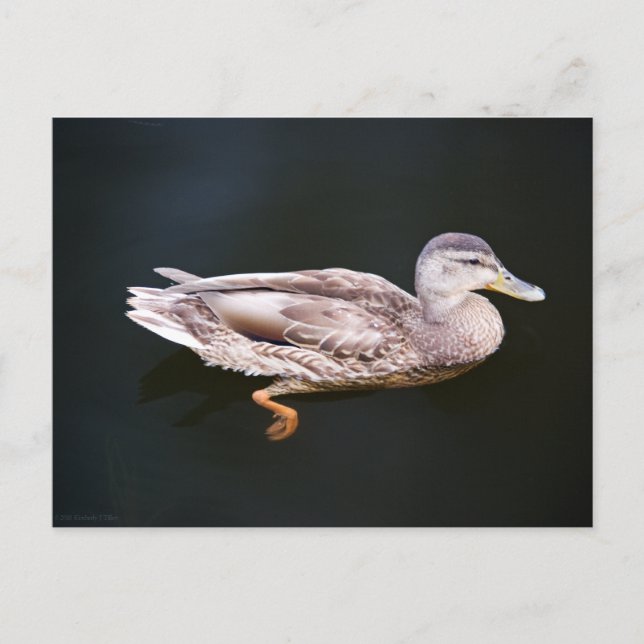 Postal Pato 907b (Anverso)