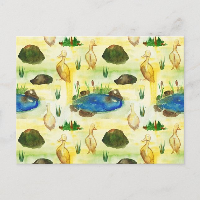 Postal Pato acuático (Anverso)