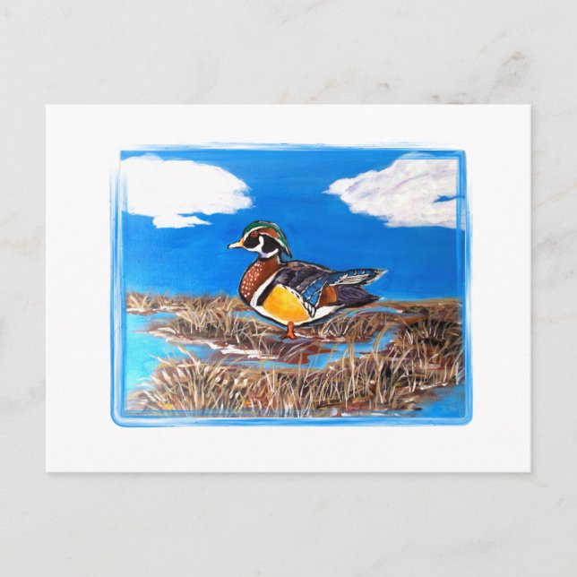 POSTAL PATO CAROLINA (Anverso)