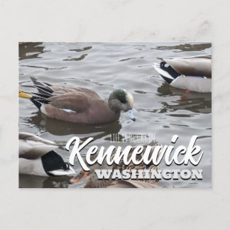 Postal Pato, cirujano americano, pájaro, Kennewick, WA