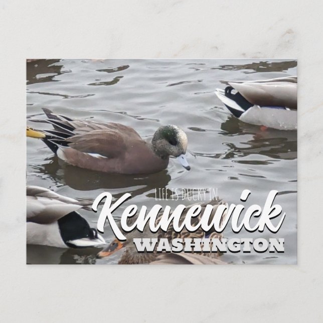 Postal Pato, cirujano americano, pájaro, Kennewick, WA (Anverso)