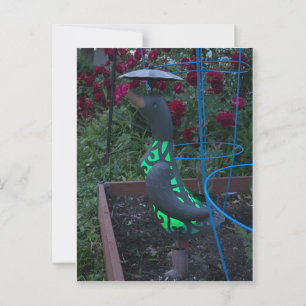 Postal Pato de jardín