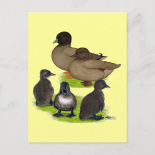 Postal Pato de Llamada Familia Khaki