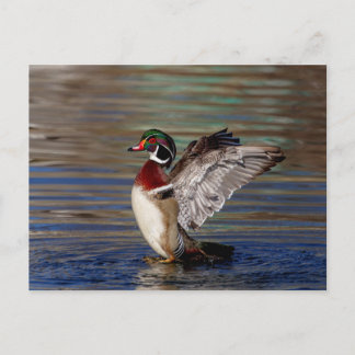 Postal Pato de madera