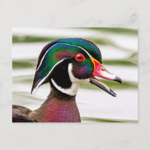 Postal Pato de madera