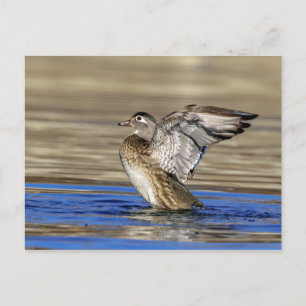 Postal Pato de madera aleteando sus alas