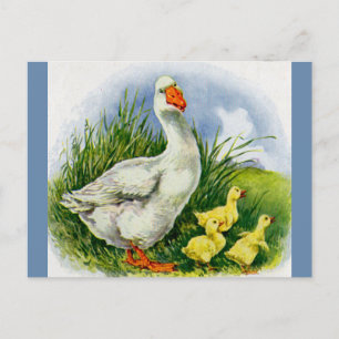 Postal Pato de mama y patos de los años 1930