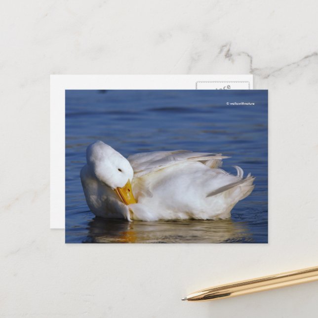 Postal Pato de Pekín sonriendo a una Mona Lisa sonriendo  (Anverso/Reverso In Situ)