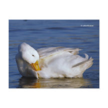 Pato de Pekín sonriendo a una Mona Lisa sonriendo 