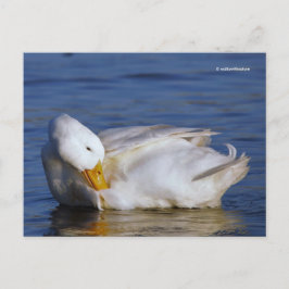 Postal Pato de Pekín sonriendo a una Mona Lisa sonriendo 