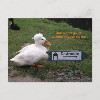 Postal Pato del sitio de resto