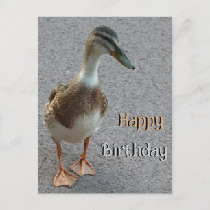 Postal Pato Lindo Caminando Cliente. Feliz Cumpleaños Tar