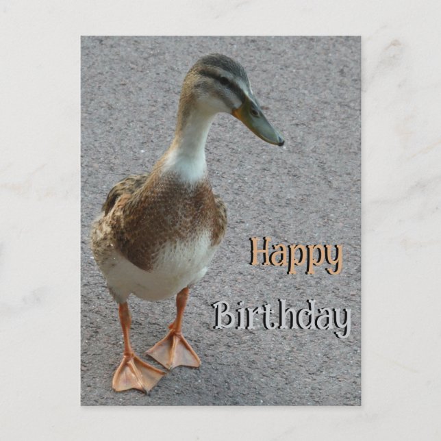 Postal Pato Lindo Caminando Cliente. Feliz Cumpleaños Tar (Anverso)