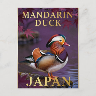 Postal 🦆 Pato mandarín Japón Ave exótica