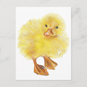 Postal pato, nena