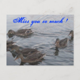 Postal Patos