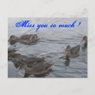 Postal Patos