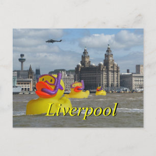 Postal Patos De Caucho En El Mersey