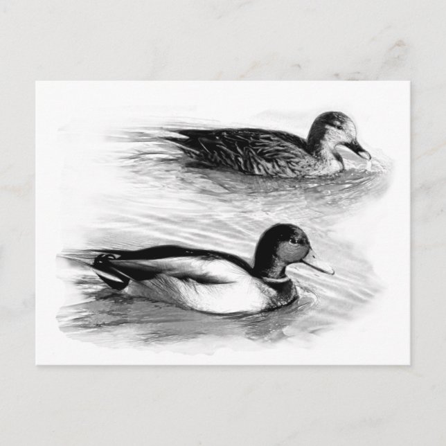 Postal Patos en el lago (Anverso)