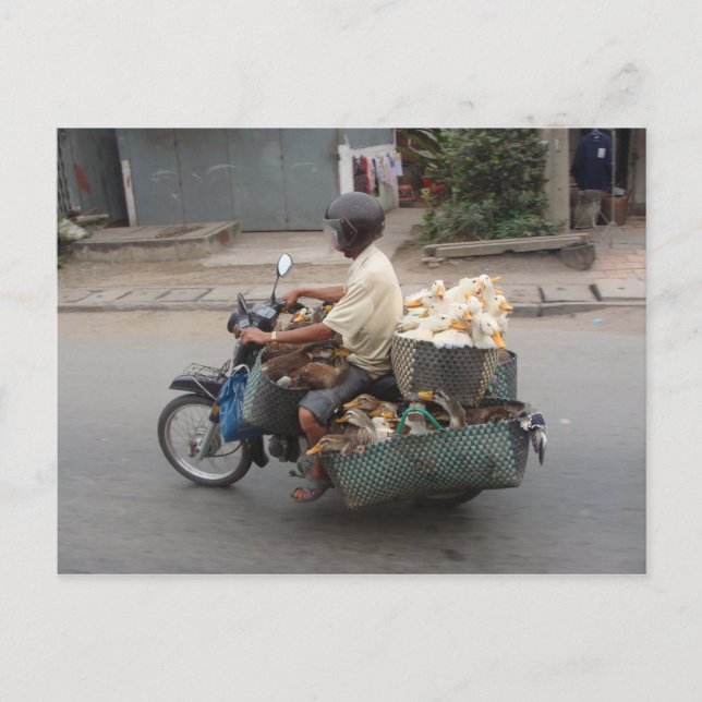 Postal Patos en moto-Vietnam (Anverso)