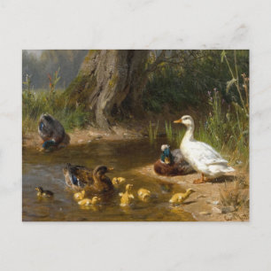 Postal Patos junto al agua por Carl Jutz