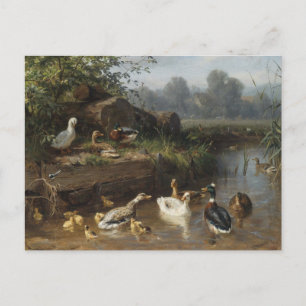Postal Patos junto al arroyo de Carl Jutz