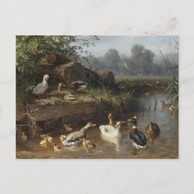 Postal Patos junto al arroyo de Carl Jutz (Anverso)