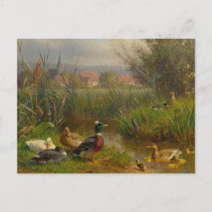 Postal Patos por Carl Jutz