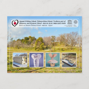 Postal Patrimonio de la Humanidad por la UNESCO - Furuich