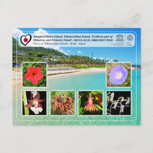 Postal Patrimonio de la Humanidad por la UNESCO - Isla To