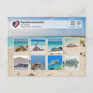 Postal Patrimonio de la UNESCO - Papahānaumokuākea - Tort