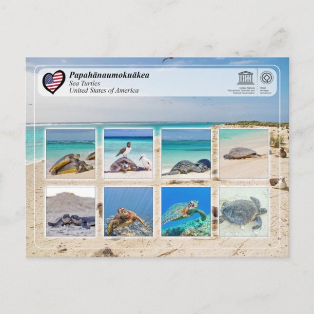 Postal Patrimonio de la UNESCO - Papahānaumokuākea - Tort (Anverso)