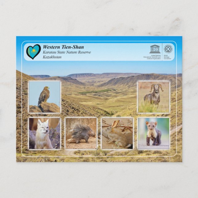 Postal Patrimonio de la UNESCO - Tian Shan Occidental - R (Anverso)