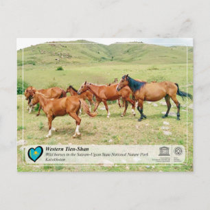 Postal Patrimonio de la UNESCO - Tien-Shan Occidental - S