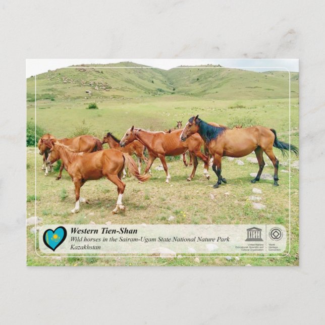 Postal Patrimonio de la UNESCO - Tien-Shan Occidental - S (Anverso)